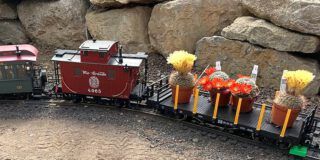 Gartenbahn-Stammtisch Erfurt bei Kakteen-Haage