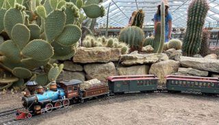 Gartenbahn-Stammtisch Erfurt bei Kakteen-Haage