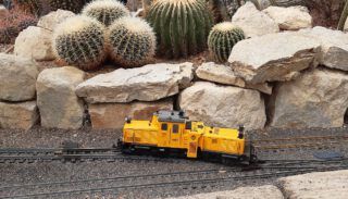 Gartenbahn-Stammtisch Erfurt bei Kakteen-Haage