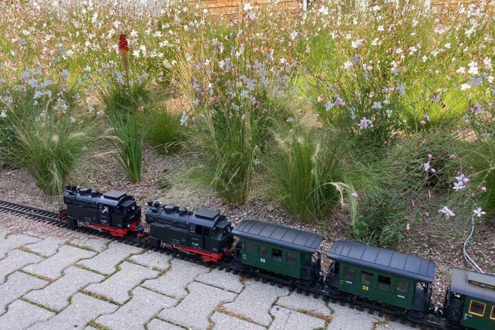 Herbstspektakel 2023 bei Klenart Stauden in Erfurt