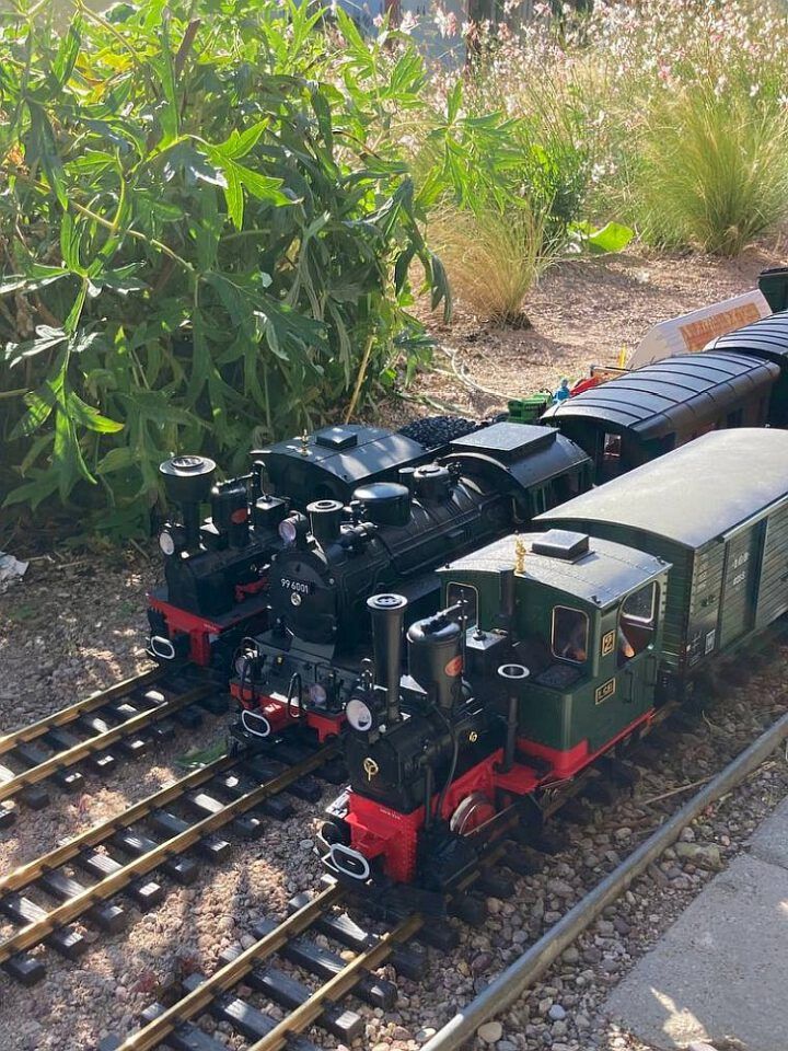 Herbstspektakel 2023 bei Klenart Stauden in Erfurt